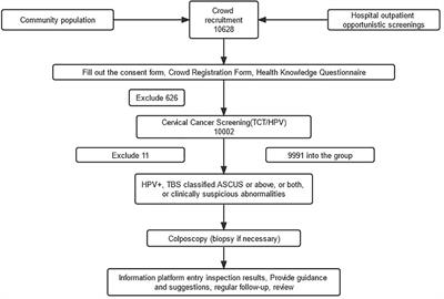 Risk Factors Associated With Human Papillomavirus Infection, Cervical Cancer, and Precancerous Lesions in Large-Scale Population Screening